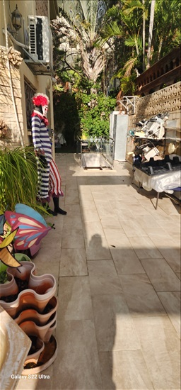 תמונה 1 ,לופט 2.5 חדרים להשכרה בראשון לציון קרית חתני פרס נובל, פולברג 30, קרית חתני פרס נובל
