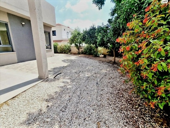 תמונה 8 ,דו משפחתי 5.5 חדרים להשכרה באבן יהודה, השיקמה, מרכז