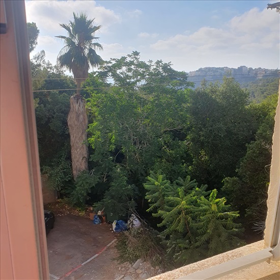 תמונה 6 ,דירה 4 חדרים להשכרה בחיפה, מאפו, אחוזה