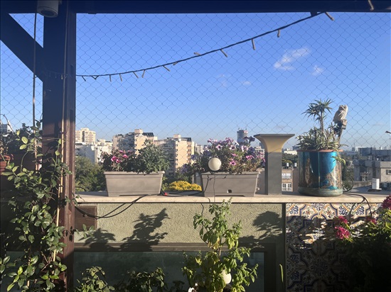 תמונה 4 ,פנטהאוז 3 חדרים להשכרה בחולון, ארבע ארצות, נאות בן גוריון