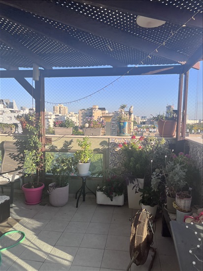 תמונה 6 ,פנטהאוז 3 חדרים להשכרה בחולון, ארבע ארצות, נאות בן גוריון