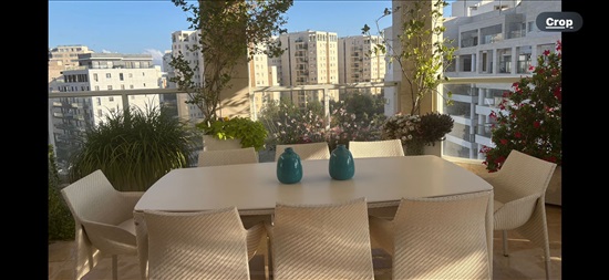 תמונה 4 ,דירה 5 חדרים להשכרה בתל אביב יפו, לוי אשכול , רמת אביב החדשה