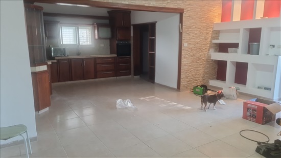תמונה 7 ,דו משפחתי 5 חדרים להשכרה בעבדון, החיטה, 48