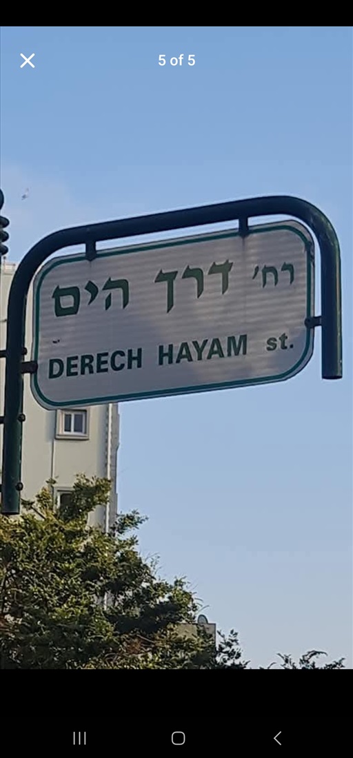 תמונה 9 ,דירה 1.5 חדרים להשכרה בבת ים, הים, 