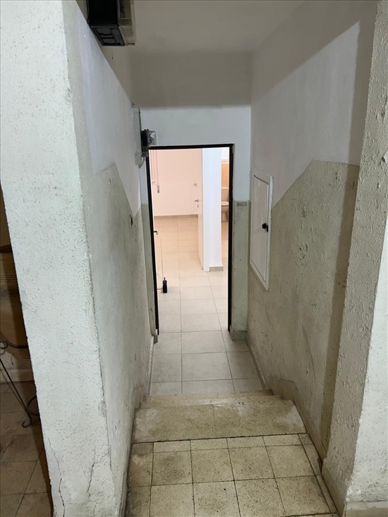 תמונה 1 ,דירה 3 חדרים להשכרה בחיפה, חורב 27, אחוזה