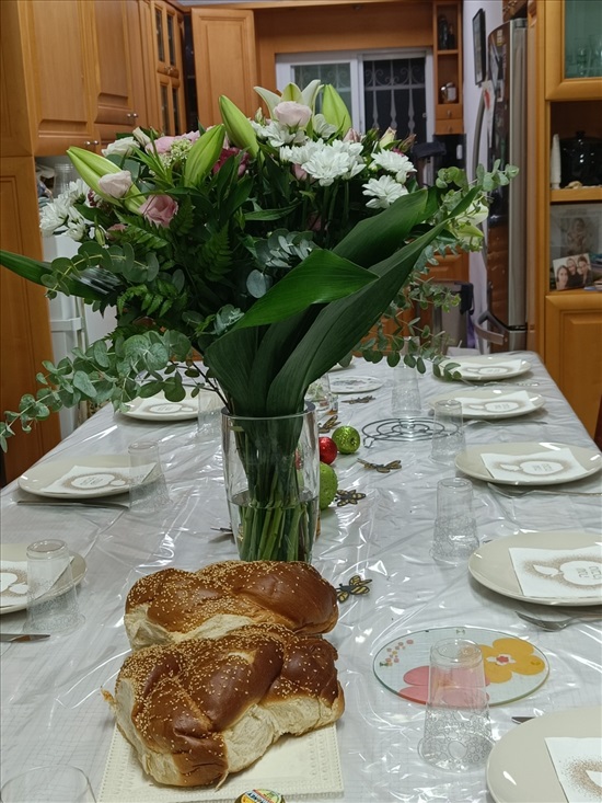 תמונה 5 ,דו משפחתי 6 חדרים להשכרה בירושלים, משעול הקורנית, 16רמות ב'