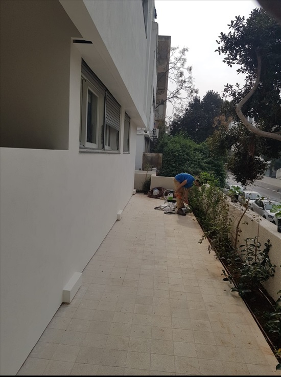 תמונה 7 ,דירה 4 חדרים להשכרה בתל אביב יפו, בן יהודה 214, 