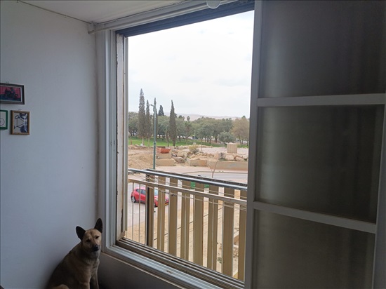 תמונה 1 ,דירה 3.5 חדרים להשכרה בירוחם, הפלמ''ח, אלי הכהן