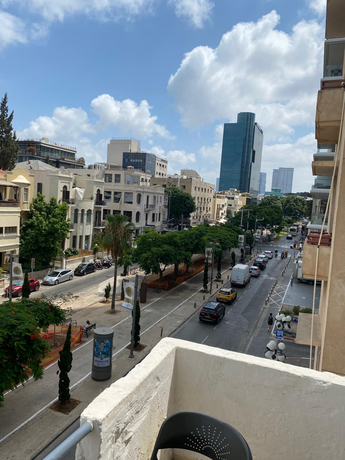 תמונה 4, דירת גג 5 חדרים להשכרה בתל אביב יפו, הירקון, רוטשילד