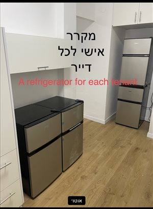 יחידת דיור להשכרה 1 חדרים ברחובות הרצל 