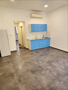דירה להשכרה 2 חדרים בחיפה נתן קיזרמן 11  עיר תחתית 