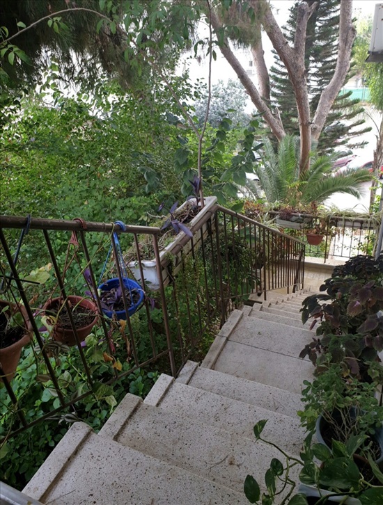 תמונה 4 ,דופלקס 5.5 חדרים להשכרה ברמת גן, חורגין , תל יהודה 