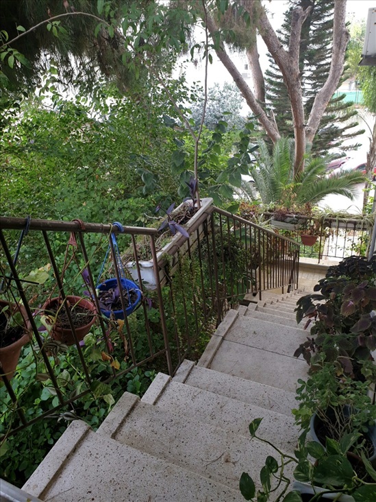 תמונה 7 ,דופלקס 5.5 חדרים להשכרה ברמת גן, חורגין , תל יהודה 