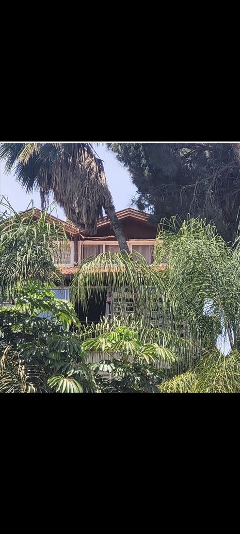 תמונה 6 ,דופלקס 5.5 חדרים להשכרה ברמת גן, חורגין , תל יהודה 
