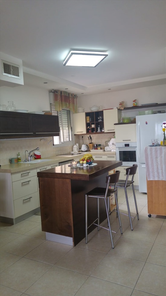 תמונה 9 ,דירה 4 חדרים להשכרה ברחובות, שמחה הולצברג, רחובות החדשה