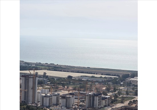 תמונה 1 ,דו משפחתי 7 חדרים להשכרה בחיפה, אלברט שוויצר, רמת אשכול