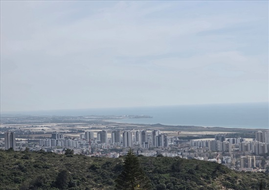 תמונה 2 ,דו משפחתי 7 חדרים להשכרה בחיפה, אלברט שוויצר, רמת אשכול