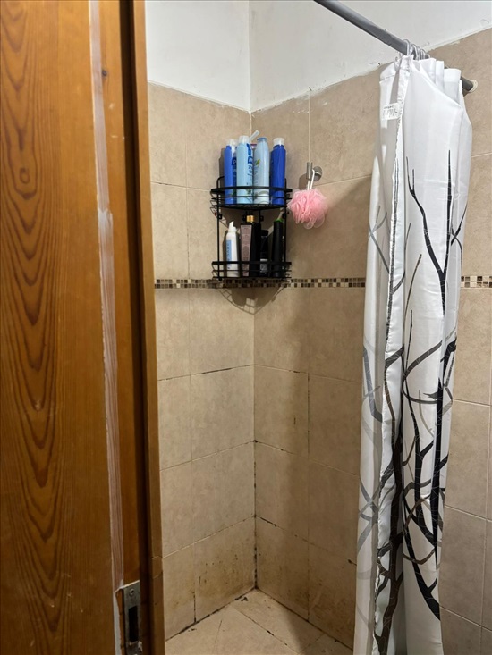 תמונה 3 ,דירה 2 חדרים להשכרה באור יהודה, דגניה, דגניה 34