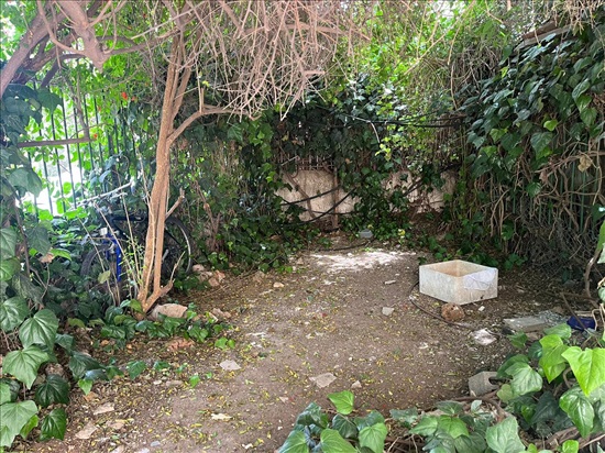 תמונה 3 ,דירת סטודיו 1 חדרים להשכרה בירושלים, המלך ג'ורג', מרכז העיר