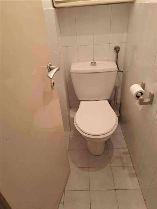 תמונה 6 ,דירה 4 חדרים להשכרה ברחובות, חוה לוצקי , 