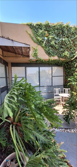 תמונה 3 ,יחידת דיור 2 חדרים להשכרה בשדמות דבורה, שדמות דבורה, 
