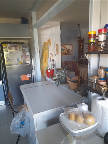 תמונה 1 ,דירה 4 חדרים להשכרה בירושלים, רובוביץ אלכסנדר, ארמון הנציב
