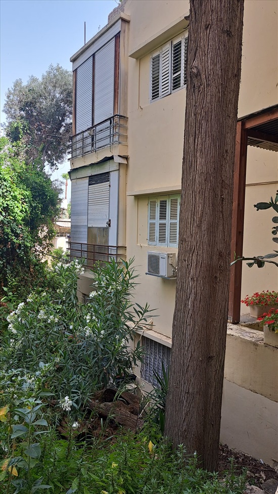 תמונה 1 ,דירה 2 חדרים להשכרה בחיפה, מסדה, מסדה