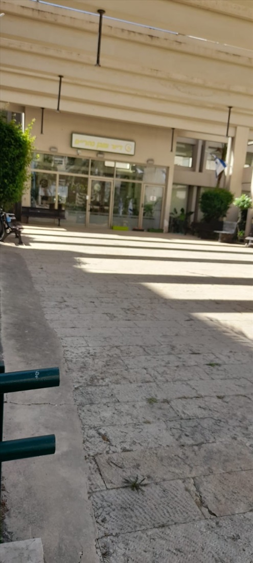 תמונה 3 ,דירה 3 חדרים להשכרה בחיפה, דב פרומר, קרית שמואל