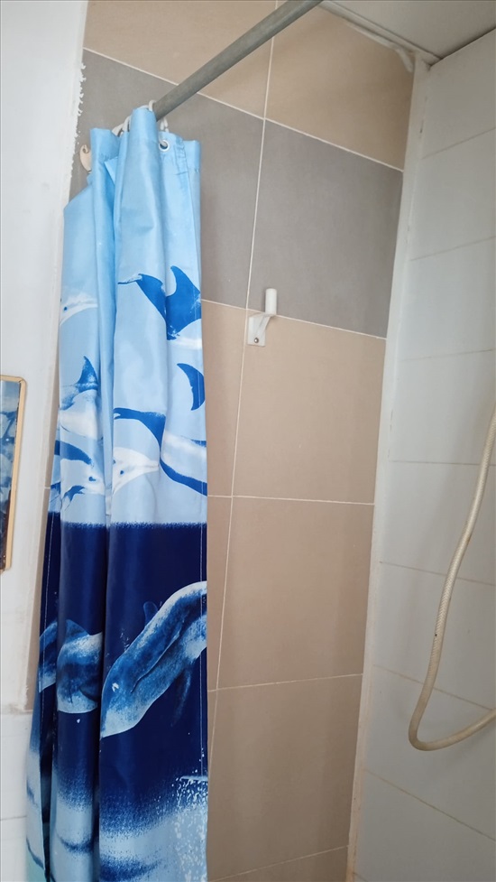 תמונה 5 ,דירה 1 חדרים להשכרה בחיפה, יחיאל 10, הדר