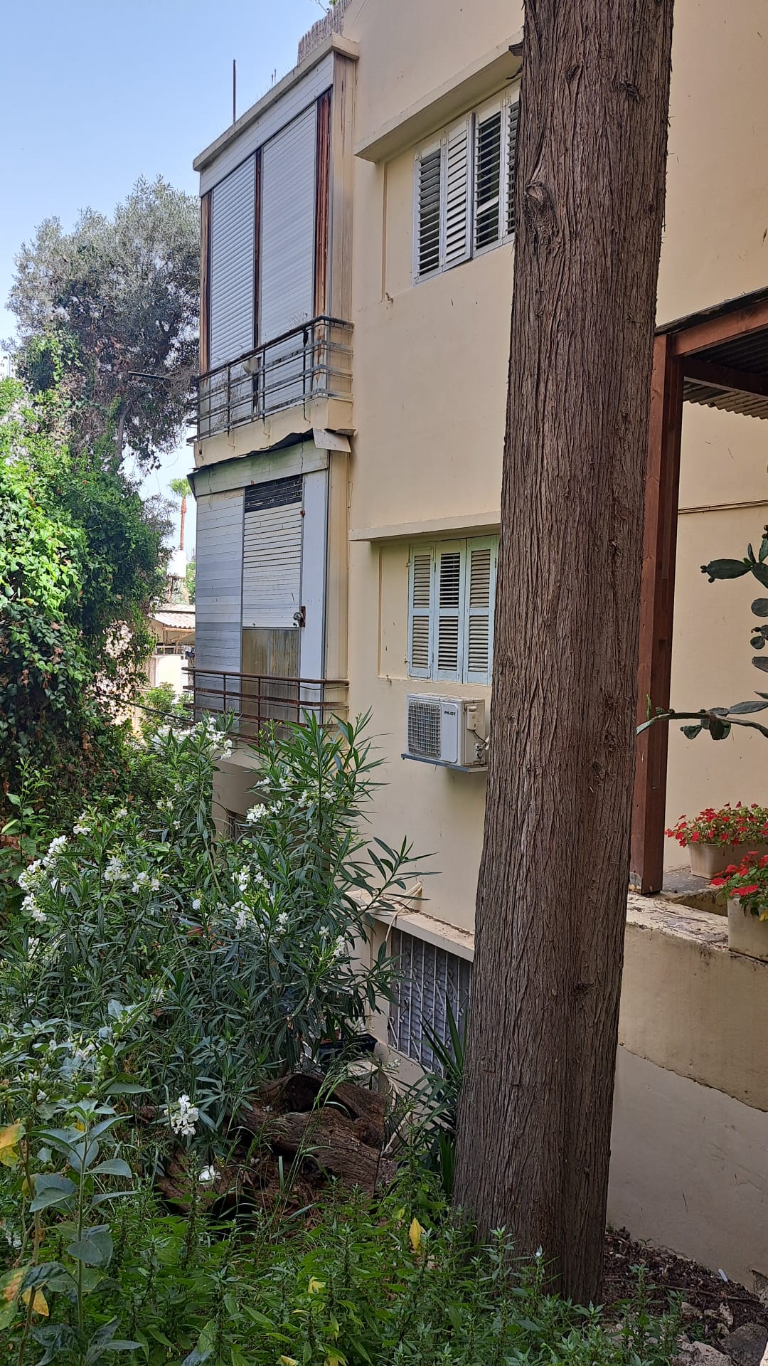 תמונה 1, דירה 2 חדרים להשכרה בחיפה, מסדה, מסדה
