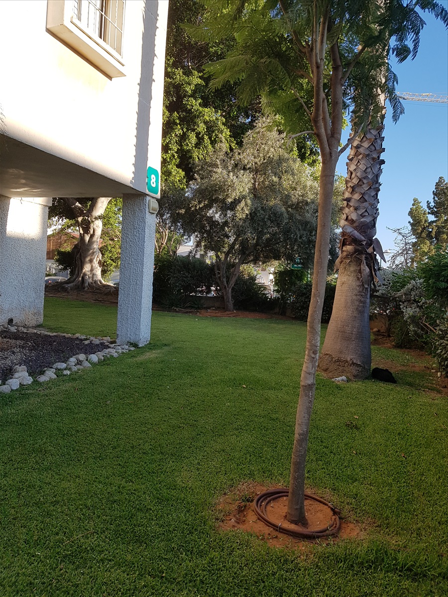 תמונה 1, דירה 5 חדרים להשכרה ברמת השרון, העבודה, הדר