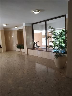 דירה להשכרה 4 חדרים בהרצליה בר כוכבא 