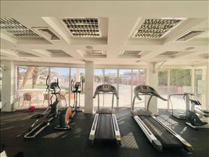 דירה להשכרה 3.5 חדרים באילת שדרות ארגמן 