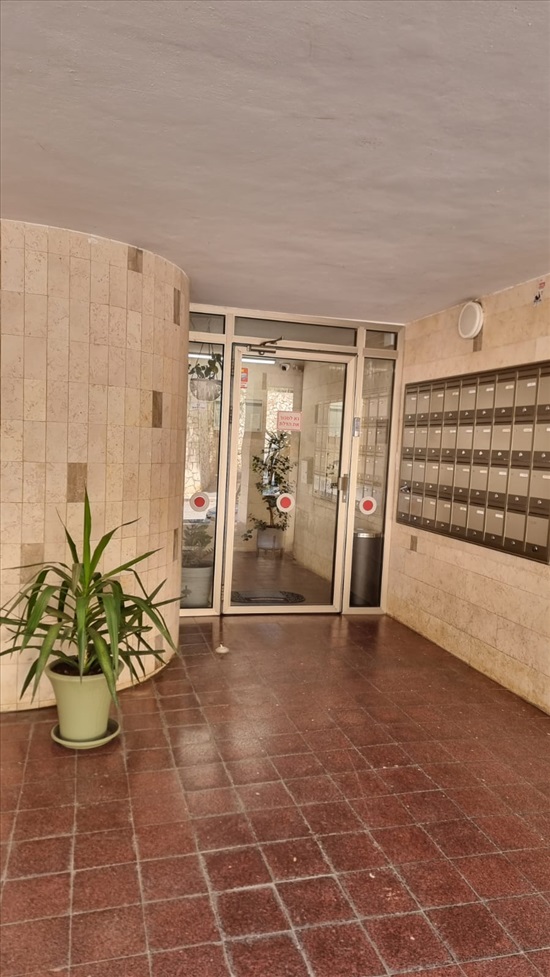 תמונה 7 ,דירה 3 חדרים להשכרה בחיפה, אבא הילל סילבר, יזרעליה