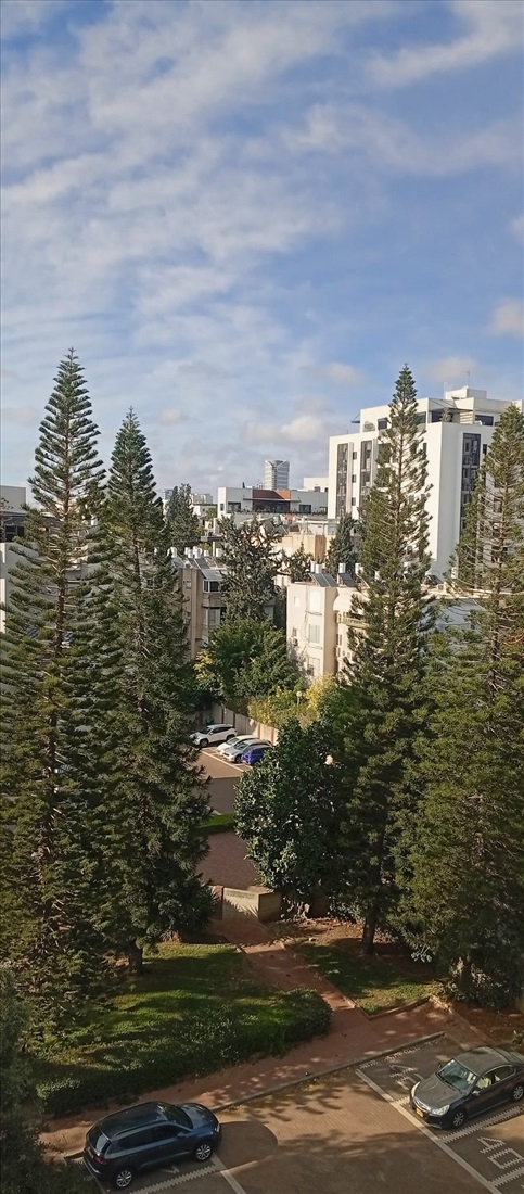 תמונה 10 ,דירה 4 חדרים להשכרה בגבעתיים, רחל, גבעת רמב``ם