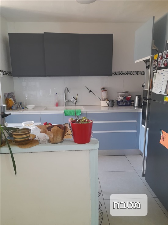 תמונה 1 ,דירה 4 חדרים להשכרה בירושלים, אלכסנדר רובוביץ', ארמון הנציב