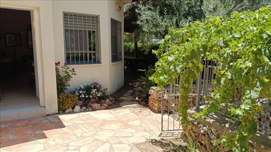 תמונה 8 ,בית פרטי 6.5 חדרים להשכרה באדרת, אדרת, 