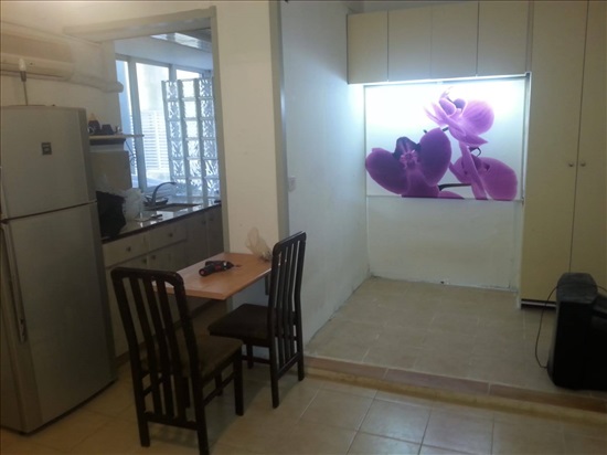 תמונה 1 ,דירה 1.5 חדרים להשכרה בתל אביב יפו, בנבנישתי, פלורנטין