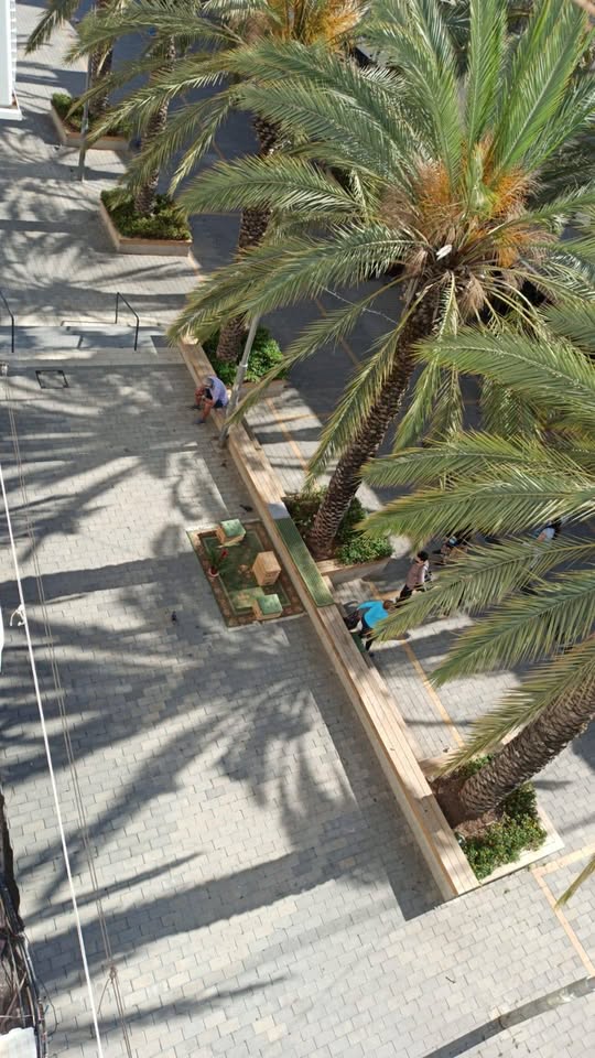 תמונה 7 ,דירה 3 חדרים להשכרה בחולון, סוקולוב 54, 