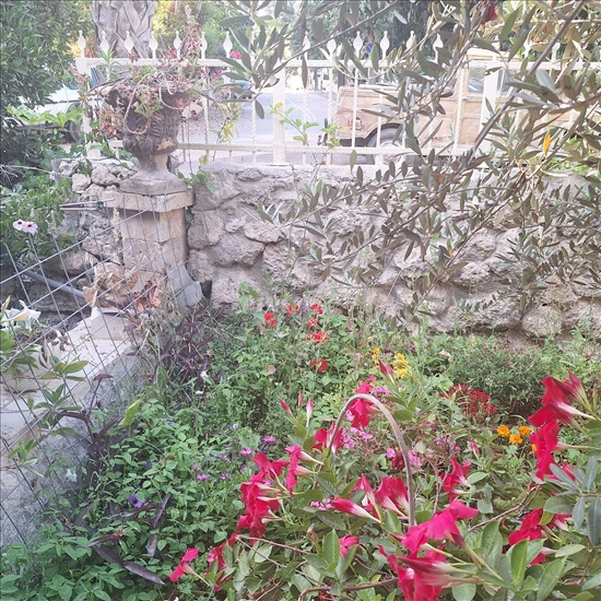 תמונה 4 ,וילה 5 חדרים להשכרה בבית יהושוע, שוהם, שיכון בנים