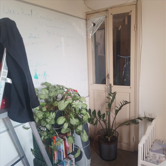 תמונה 6 ,דירה 4 חדרים להשכרה בתל אביב יפו, האתרוג, יפו