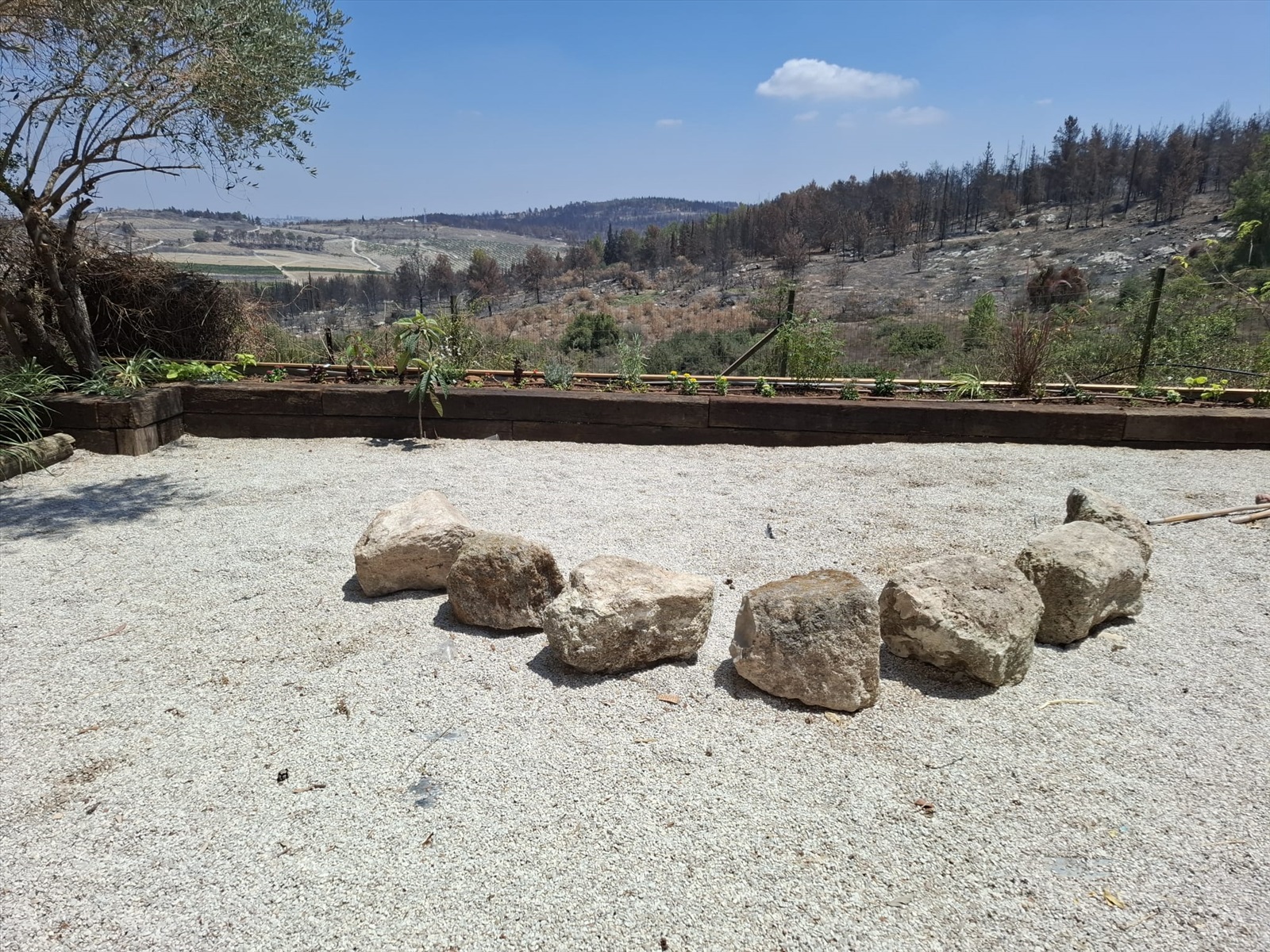 תמונה 2, יחידת דיור 2 חדרים להשכרה בנווה שלום, נווה שלום, נווה שלום