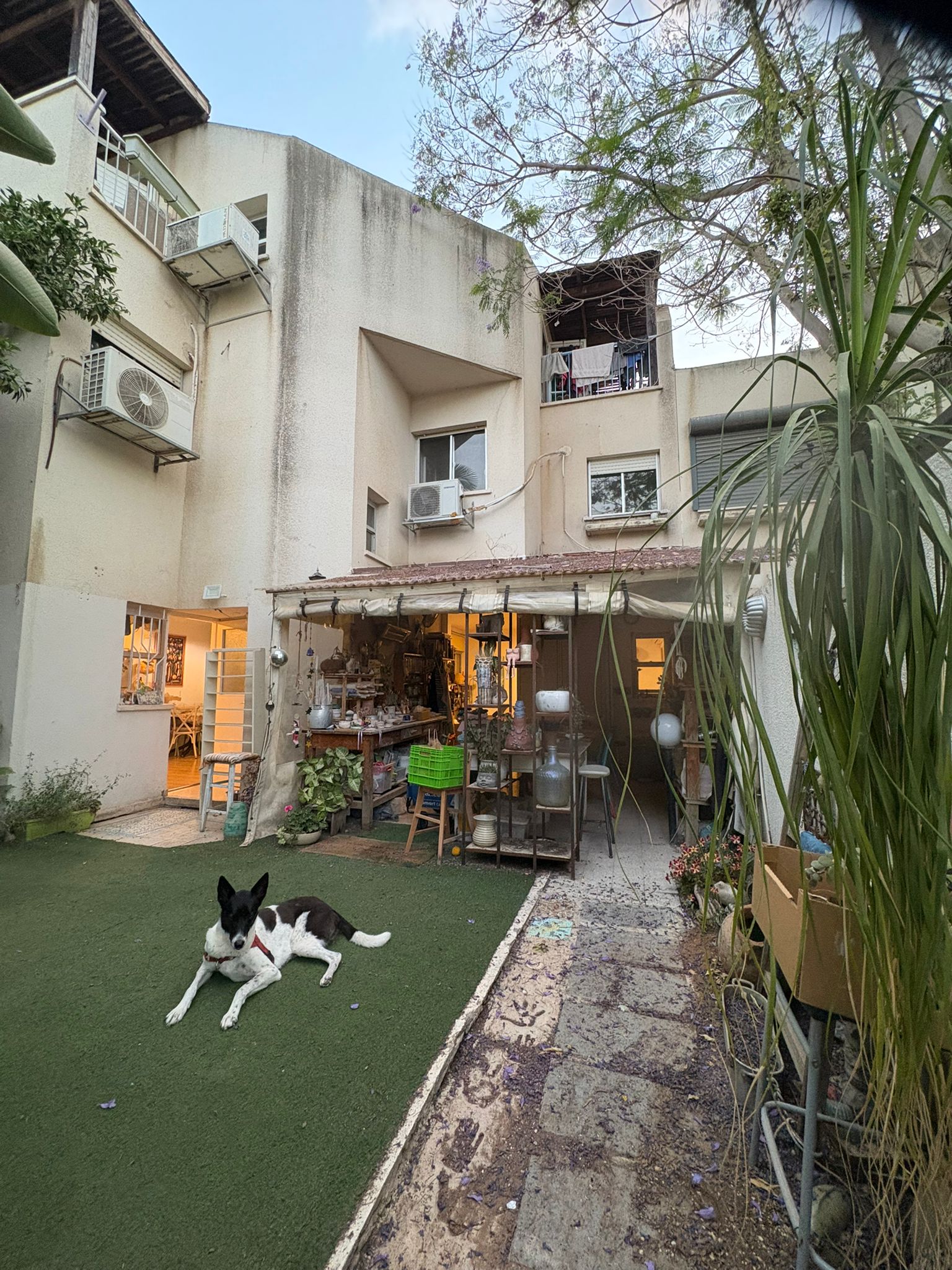 תמונה 2, קוטג 5 חדרים להשכרה בהרצליה, כיסופים, נוה אמיר