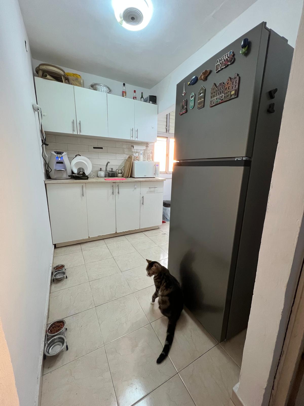 תמונה 2, דירה 2.5 חדרים להשכרה בגבעת שמואל, הנשיא, גיורא