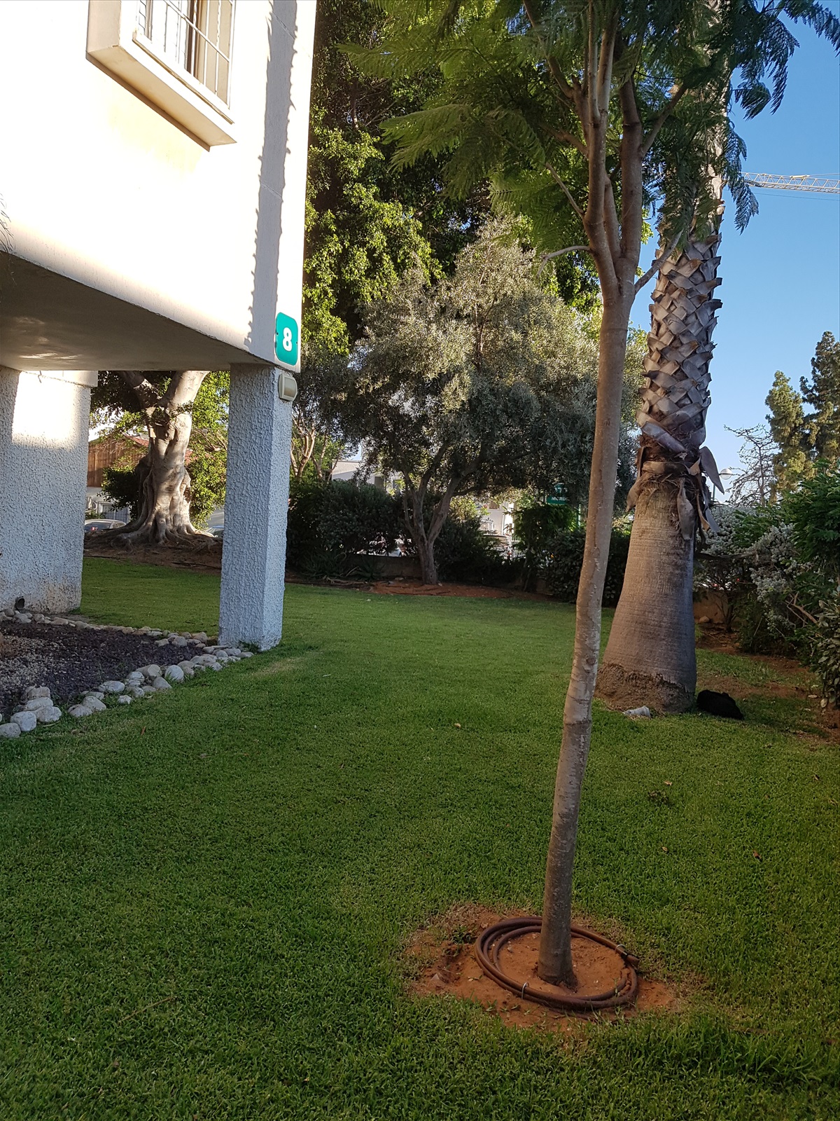 תמונה 1, דירה 5 חדרים להשכרה ברמת השרון, העבודה, הדר