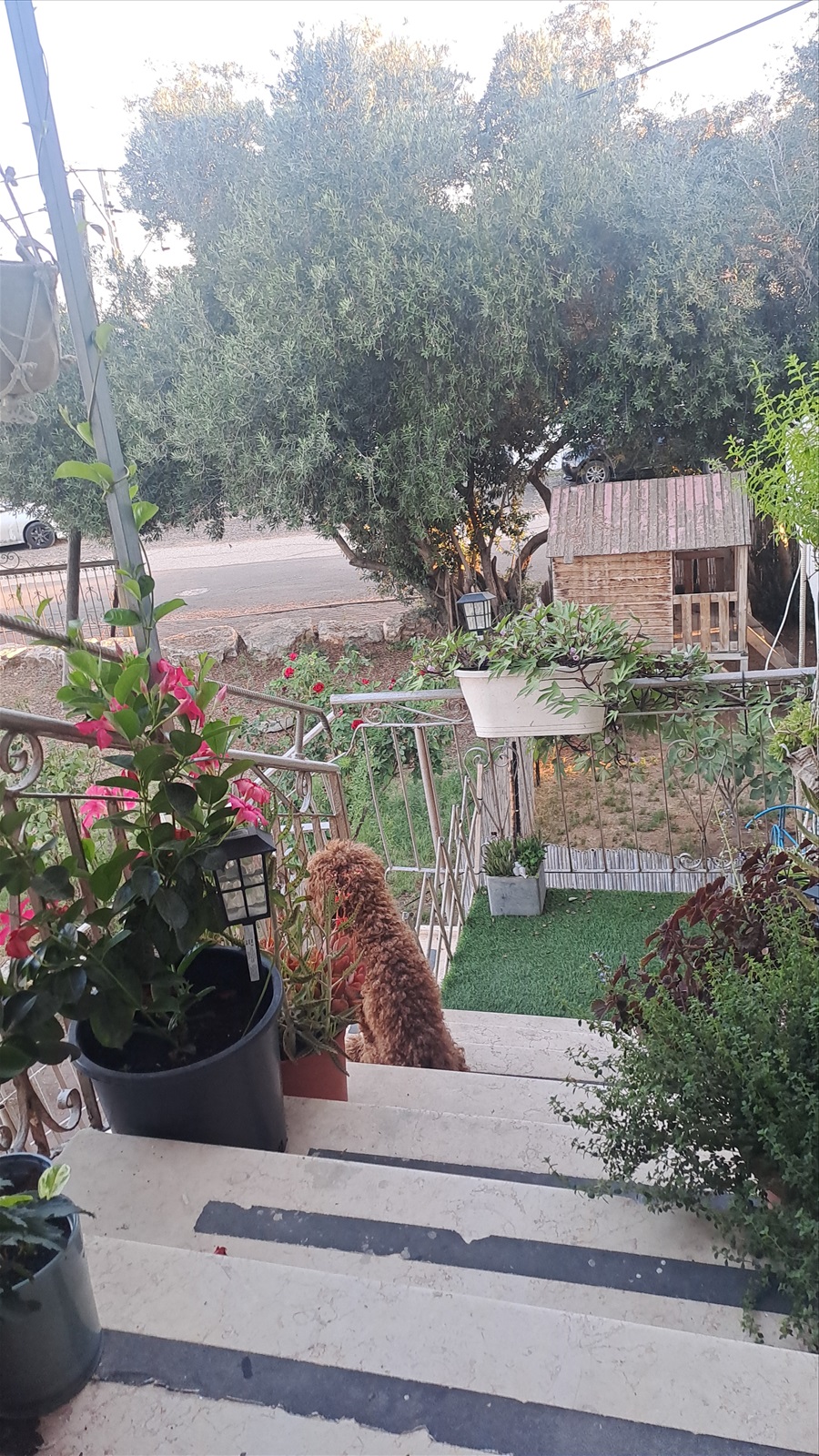 תמונה 2, דירה 4 חדרים להשכרה בתנובות, המוריה , מ