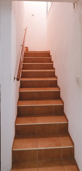 דירה להשכרה 2.5 חדרים בתל אביב יפו בצרון 