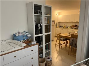 יחידת דיור להשכרה 2 חדרים בגבעת שמואל הזיתים רמת הדר 