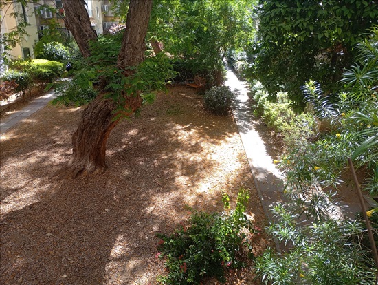 תמונה 5 ,דירה 2.5 חדרים להשכרה ברמת גן, המתמיד, הראשונים