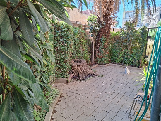 תמונה 4 ,דירת גן 1 חדרים להשכרה בירושלים, שמעון, בקעה /גאולים